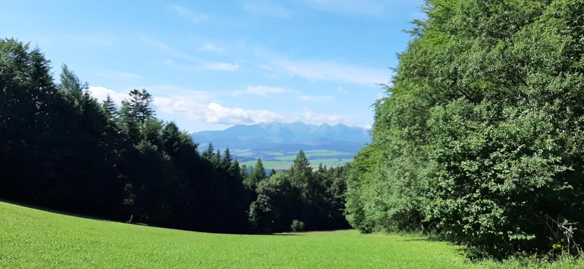 Szczytowisko Villa Grywald Buitenkant foto