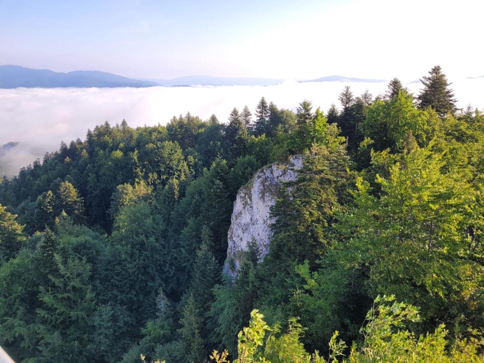 Szczytowisko Villa Grywald Buitenkant foto